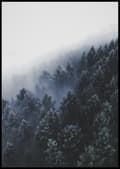 Miniatyrbild 1 av 2: FOGGY WOODS IV POSTER