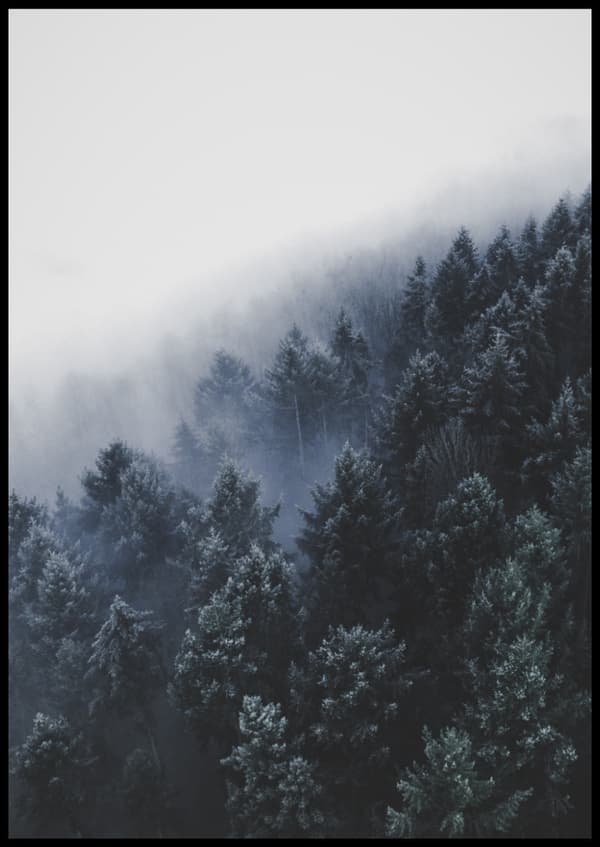 FOGGY WOODS IV POSTER 30x40cm
