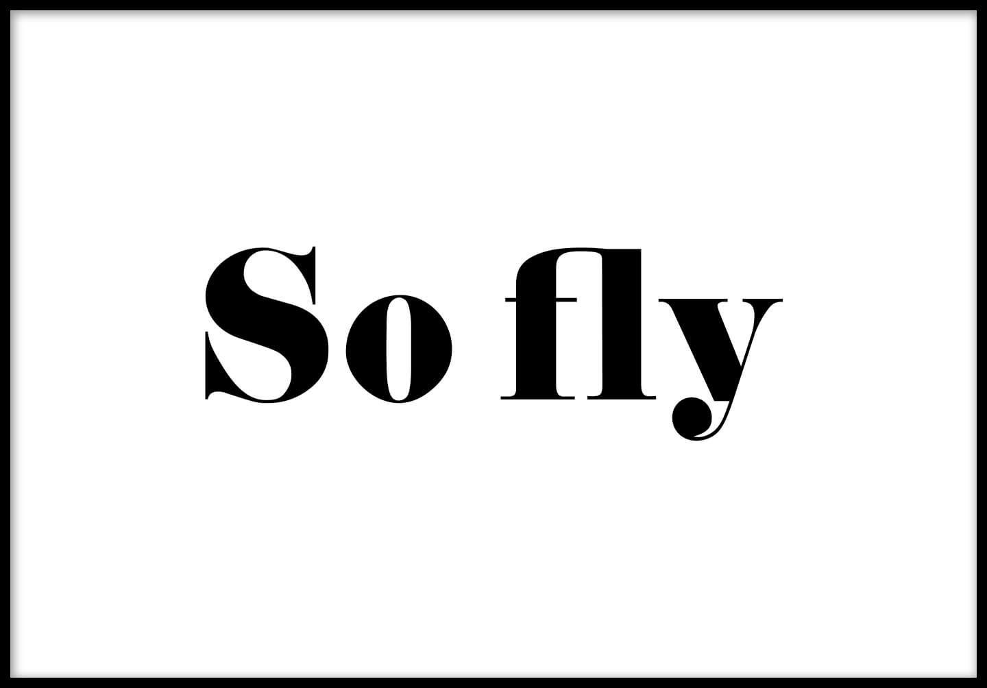 SO FLY POSTER 30x40cm