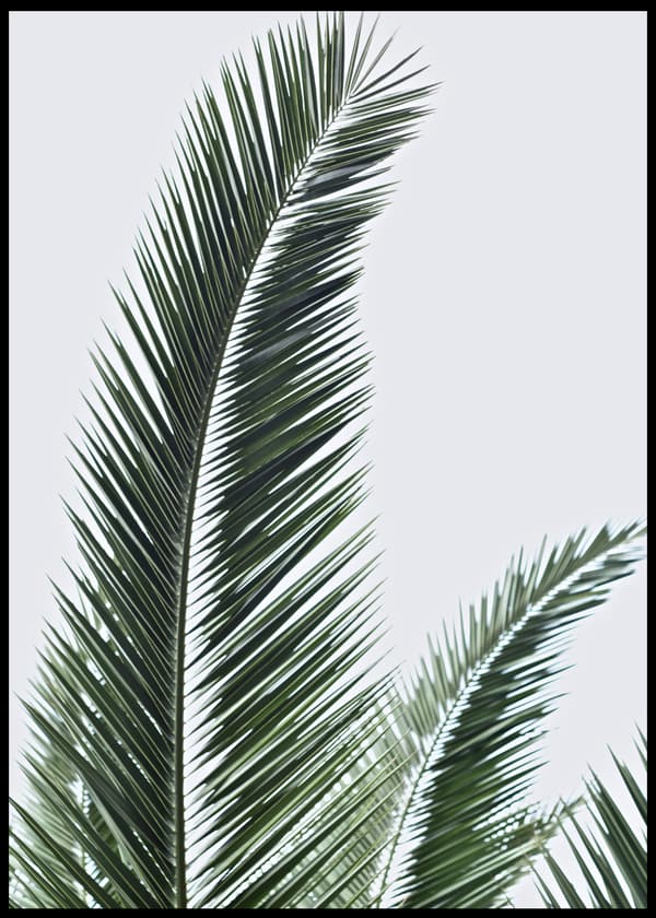 TROPICAL LEAVES POSTER