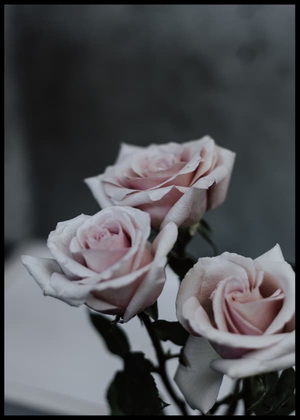 Flower Wall No2 Poster 30x40cm