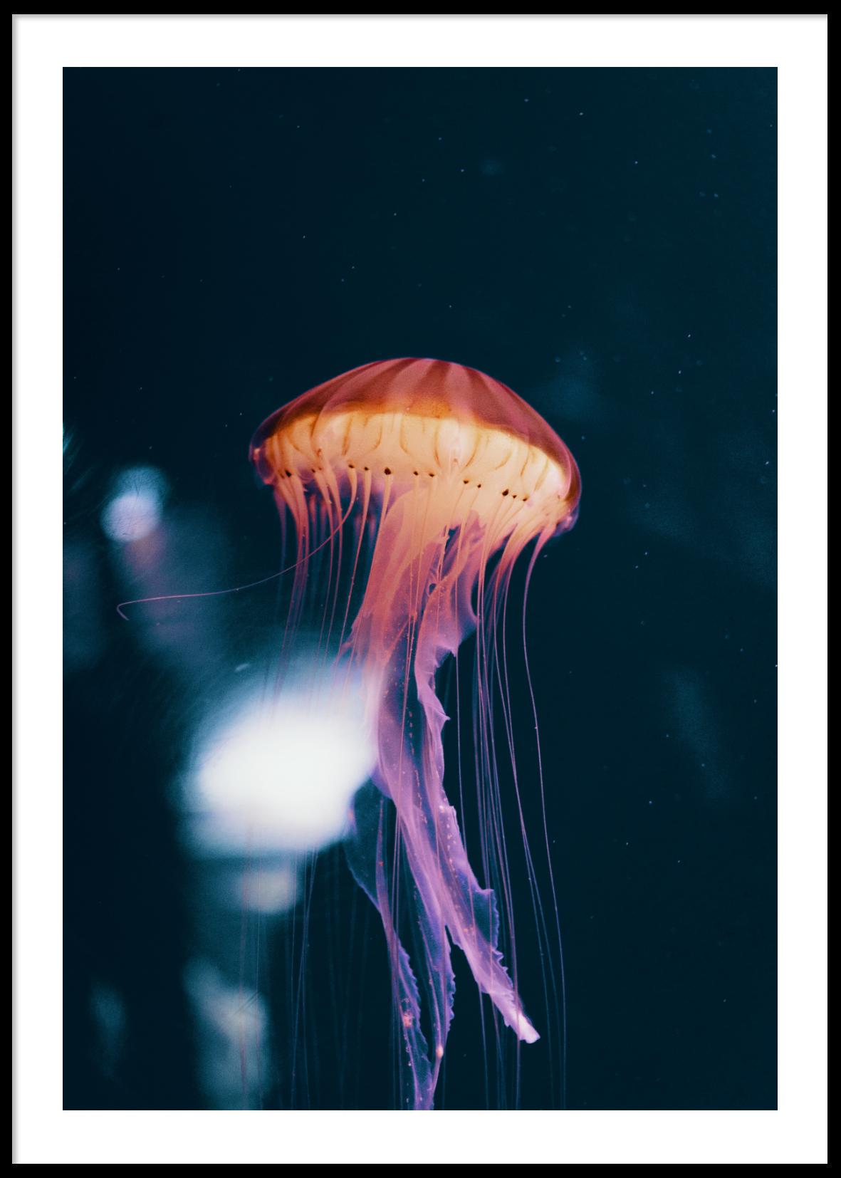 NEON JELLYFISH POSTER 21x30cm