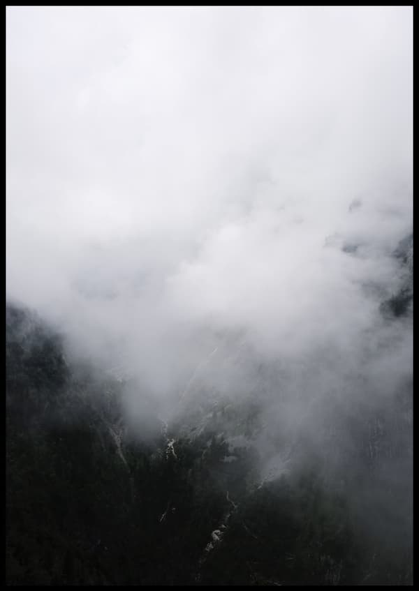 FOGGY WOODS II POSTER 30x40cm
