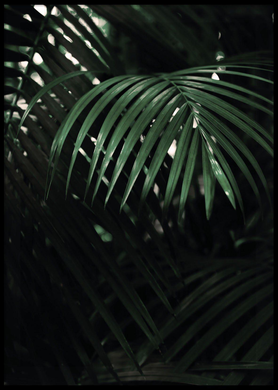 TROPICAL LEAVES POSTER 21x30cm