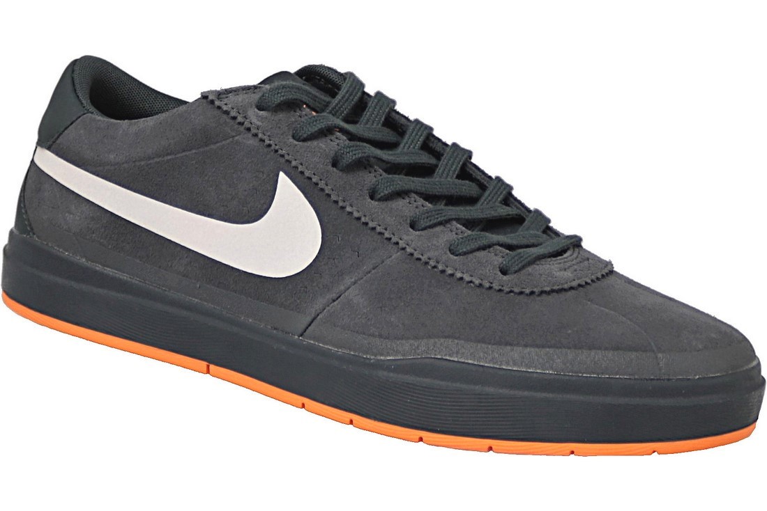 bruin sb nike