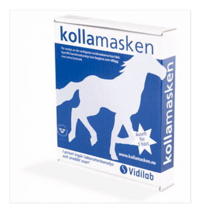 Kolla masken Häst