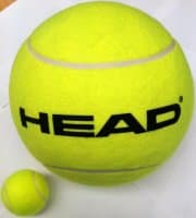 HEAD Medium Inflatable Ball