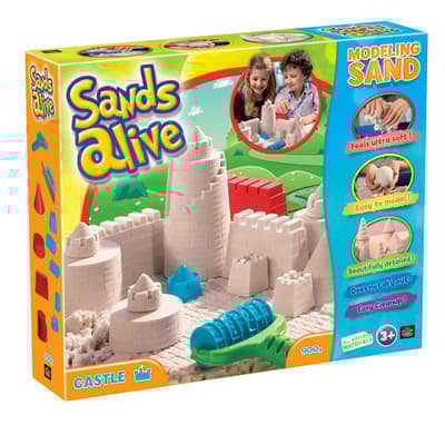 Sands Alive - Castle