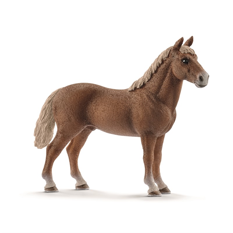Schleich Morgan horse stallion