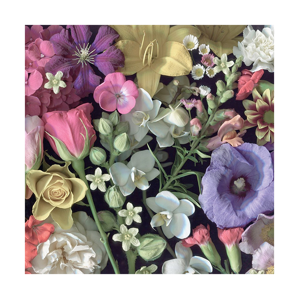 Flowers Beautiful 1000piece jigsaw puzzle for adults! Leksaker