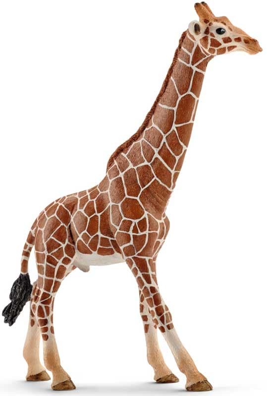 SCHELICH GIRAFFE MALE